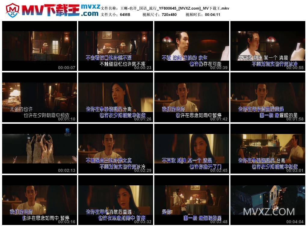 王晰-也许_国语_流行_YF800645